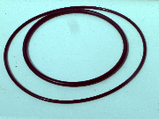 Tagelus filter O-rings